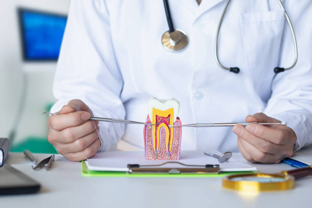 Best Emergency Treatment for Dental Infections or Abscesses in Farmingdale, NJ